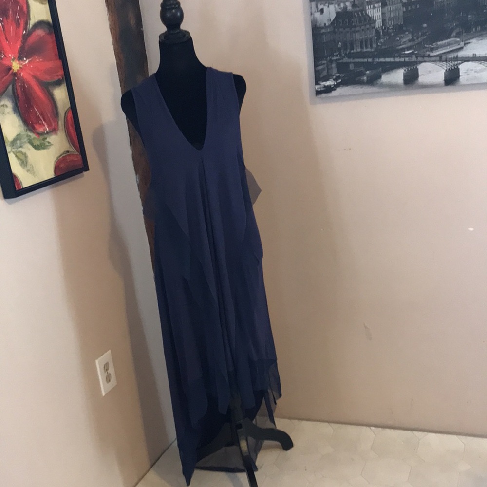 BCBG Maxazria Hi Lo Dress NWT